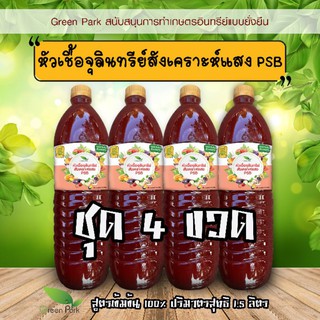 หัวเชื้อ จุลินทรีย์สังเคราะห์แสง PSB ขวด 1.5 ลิตร ชุด 4 ขวด คุณภาพสูง เห็นผลจริง สูตรเข้มข้น แท้ 100% เร่งราก ดอก ผล ดก