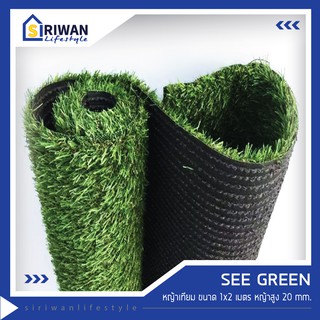 See green หญ้าเทียม ปูพื้น ตกแต่งสวน ขนาด 1x2 เมตร ความสูงของหญ้า 20 mm. รุ่น BLF1-2