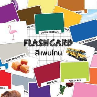 แฟลชการ์ดสีแพนโทน Flash Card Pantone KP036