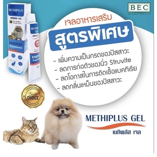 METHIPLUS GEL 30 กรัม หมดอายุ 06/2024 เมทิพลัสเจล อาหารเสริมแมว ช่วยละลายนิ่ว ป้องกันการเกิดนิ่ว โรคนิ่ว 30 กรัม