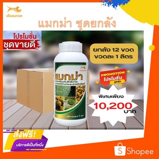 สารจับใบแมกม่า Maxma (ชุดยกลัง 12 ขวด) สารเสริมประสิทธิภาพดูดซึมเร็วใช้ได้กับพืชทุกชนิดประหยัดต้นทุนได้ถึง40%