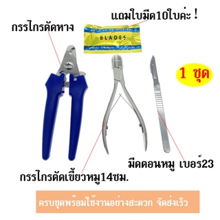 3 in1 ชุดกรรไกรตัดหาง กรรไกรตัดฟัน มีตอนหมู สำหรับลูกหมู 3ชิ้น ครบชุด พร้อมใช้งาน ราคาถูกสุด