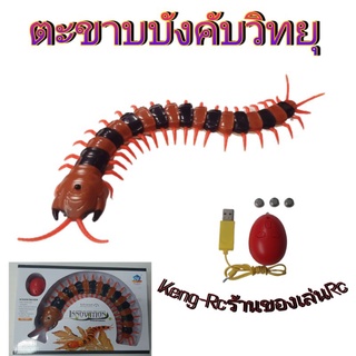 ตะขาบบังคับ ตะขาบของเล่นบังคับเหมือนจริงชาร์จไฟได้จากสายUSB