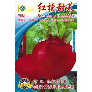เมล็ด บีทรูท Beetroot  สายพันธุ์ OP (200 เมล็ด)