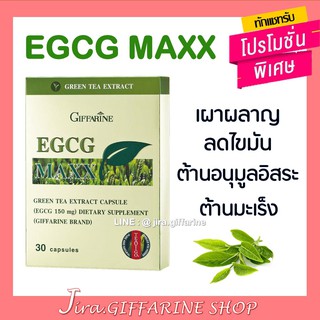 อีจีซีจี แมกซ์ กิฟฟารีน EGCG Maxx GIFFARINE สารสกัดจากชาเขียว ตัวช่วยการเผาผลาญ ลดไขมัน