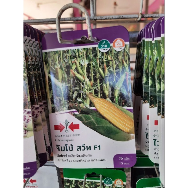 🌽เมล็ดพันธุ์ข้าวโพดจัมโบ้สวีท ศรแดง ข้าวโพดข้าวเหนียว ข้าวโพดหวาน