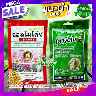 แพ็คคู่ ปุ๋ยบำรุงและกันแมลง🥭ออสโมโค้ท (Osmocote)+สตาร์เกิลจี (Starkle G) 100 กรัม