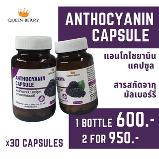 แอนโทไซยานินแคปซูล สกัดจากมัลเบอร์รี่ (Anthocyanin Capsule)(Queen Berry)(mulberry)(x30)