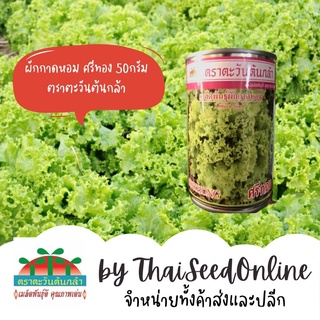 ADV กป 50กรัม เมล็ดพันธุ์ผักกาดหอม สลัด พันธุ์ ศรีทอง ตราตะวันต้นกล้า