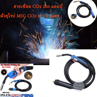 สายเชื่อม CO2 200 แอมป์ปลายยุโรป MIG CO2 ยาว 5 เมตร