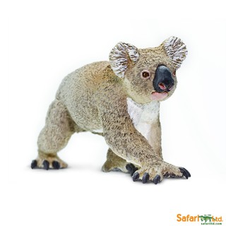 Safari Ltd. : SFR225329 โมเดลสัตว์ Koala