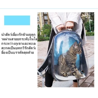 กระเป๋าแมว ใส่แมว แมวอวกาศ ใส่สัตว์เลี้ยง อวกาศแมว อวกาศ เป้แมว แมวแคปซูล