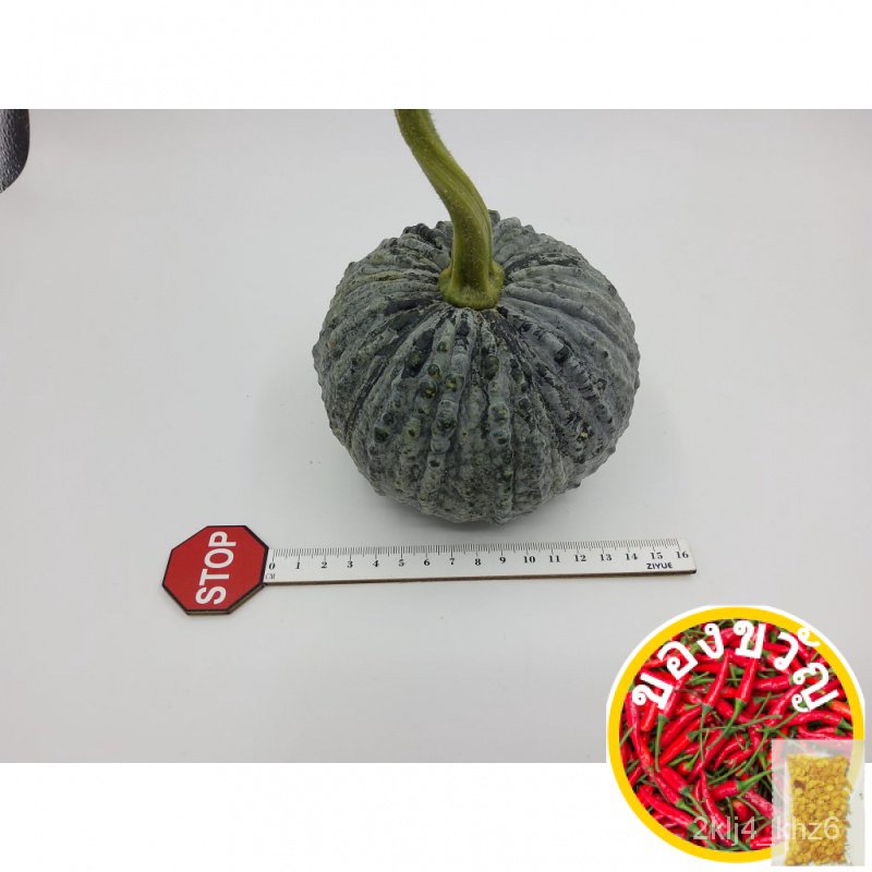 Biji Benih Labu Manis Mini F1 157 Hybrid Mini Sweet Pumpkin GE ...