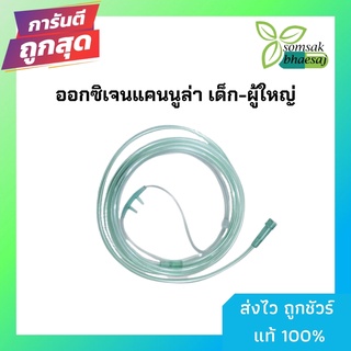 สายออกซิเจนแคนนูล่าทางจมูก ผู้ใหญ่ เด็ก( Cannula Tube)