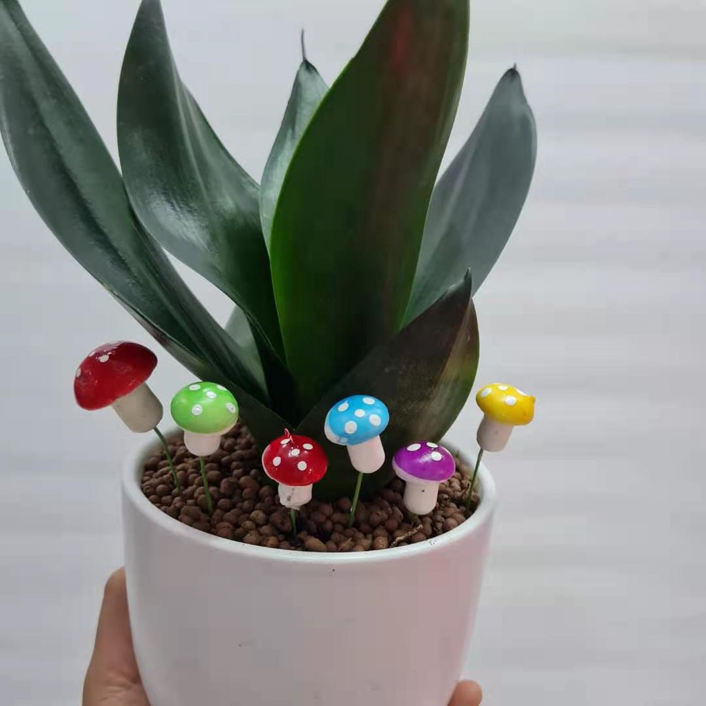 ตุ๊กตาแต่งสวนถาด เห็ดแต่งสวนถาด เห็ดโฟมจิ๋ว น่ารัก เพิ่มสีสันให้สวน ราคา ถูกที่สุด ดีลบีเคเค แกลเลอรีภาพที่ 3