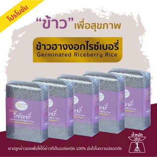 ข้าวฮางงอกงอกไรซ์เบอรี่ ข้าวไรซ์เบอรี่ ออร์แกนิค 100% สินค้าโปรโมชั่น 5 แพ็คคุ้มกว่า น้ำหนักแพ็คละ 1 กิโลกรัม