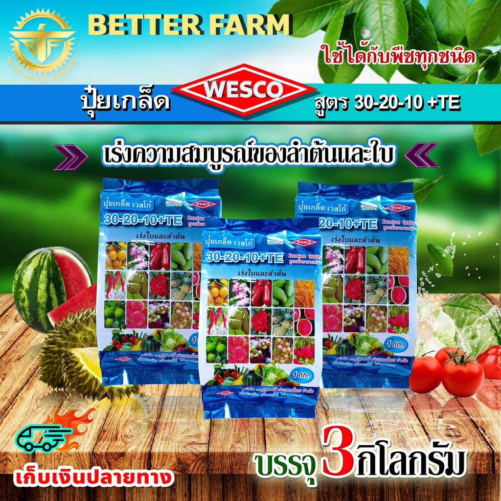 แพ็ค 3 WESCO ปุ๋ย 30-20-10 +TEเร่งความสมบูรณ์ของลำต้นและใบ