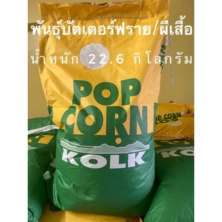 เมล็ดข้าวโพดบัตเตอร์ฟราย พันธ์ผีเสื้อ เมล็ดข้าวโพดป๊อปคอร์น ตราเขียวเหลือง KOLK ยกกระสอบ 22.68 k