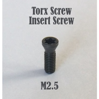 TorxScrew,InsertScrew,น็อตยึดมีดกลึง,น็อตยึดมีดกัด,น็อตยึดมีดมิลลิ่ง,น็อตสกรูดาวม,CarbideCNClathe,MillingCNC