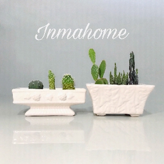 🌿 กระถางเซรามิก สำหรับจัดสวน l White Ceramic Pots For Gardening l กระถาง เซรามิค กระถางต้นไม้