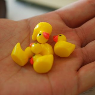 โมเดเป็ดเหลืองจิ๋ว ฟิกเกอร์เรซิ่น (yellow duck) ตุ๊กตาเป็ดเหลืองจิ๋ว ชุด 5 ตัวน่ารักมากๆ แต่งสวนขวด สวนถาด