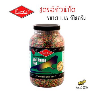 อาหารอีกัวน่าโต Rep-Cal Adult Iguana Food กระปุกใหญ่ 1.13 กิโลกรัม [RC10]