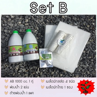 ชุดทดลองปลูก SET B  (ธาตุอาหารสารละลาย AB)