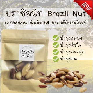 [Paws-sibile] บราซิลนัท Brazil Nut นำเข้าจากออสเตรเลีย ขนมแฮมสเตอร์ ขนมแฮมเตอร์ ขนมหนูแฮมสเตอร์ ขนมกระรอก