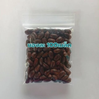 เมล็ดจามจุรี ก้ามปู ฉำฉา ซองละ 100เมล็ด ราคา 28บาท