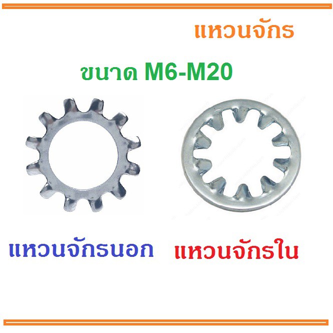 แหวนจักร นอก-ใน แหวนกันคลาย M6 - M20