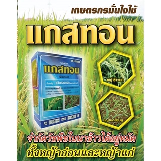 ​แกสทอน​​ควินคลอแรก​75% กำจัดวัชพืช ในนาข้าว ทั้งหญ้าข้าวนก หญ้าข้าวฟ่าง หญ้าข้าวนกดื้อยา ผักปอด ปริมาณ100 กรัม