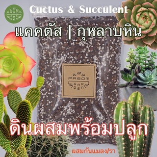 ดินผสมพร้อมใช้ สูตร 13 แคคตัส(Cuctus) กุหลาบหิน(Succulent) soil mix , Aroid Soil ดินแคคตัส