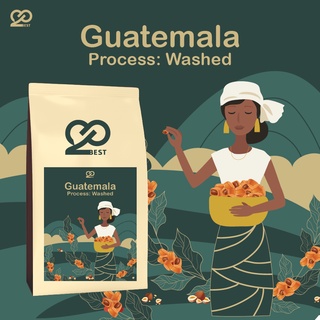 เมล็ดกาแฟ Guatemala Washed