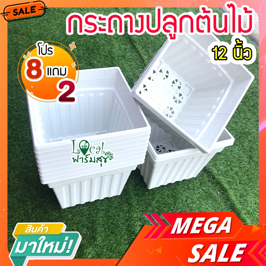 Local ฟาร์มสุข กระถางต้นไม้ ( 8 แถม 2 ใบ ) กระถางสี่เหลี่ยม 12 นิ้ว สีขาว กระถางปลูกต้นไม้ กระถางพลา