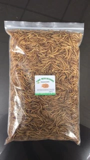 หนอนนกอบแห้ง Dried Mealworms 500 g. (คัดอย่างดี ไม่ปรุ่งแต่งสีและกลิ่น)(Pet)ชูการ์,หนูแฮมเตอร์,เม่นแคระ,นก