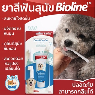[พร้อมส่ง] ยาสีฟันสุนัข 🪥🐶 ลดคราบหินปูน และปัญหากลิ่นปาก 🦷แปรงง่าย รสชาติที่สุนัขชอบ