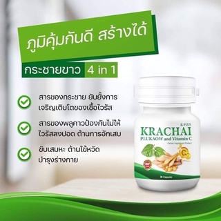 🔥ลด 50% ใส่โค้ด INCLV22🔥กระชายขาว K-PLUS KRACHAI