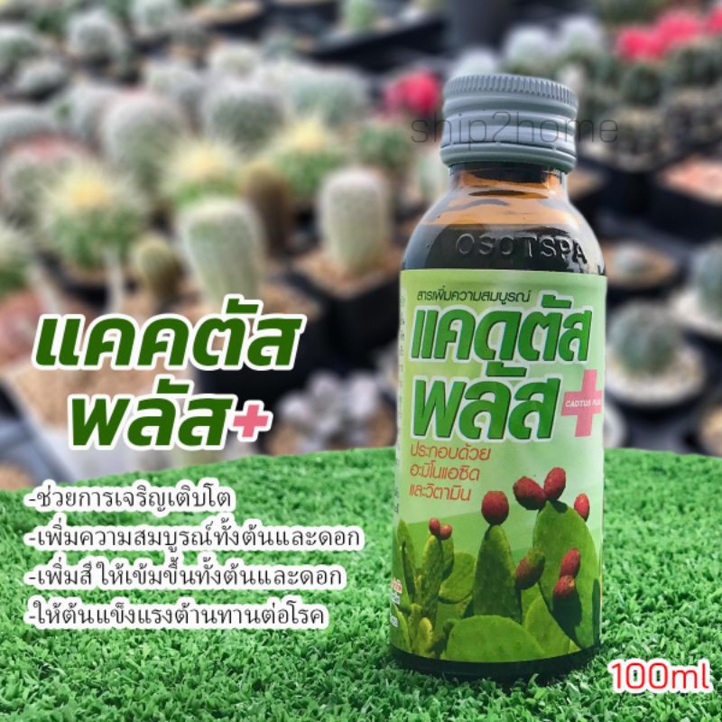 แคคตัสพลัส 100cc​ เสริมความสมบูรณ์ทั้งราก​ ต้นและดอก เร่งการเจริญเติบโต ช่วยให้พืชต้านทานต่อโรคได้ดี