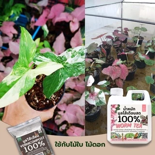 มูลไส้เดือน ปุ๋ยมูลไส้เดือน (1kg) ปุ๋ยหมักผสมมูลไส้เดือน สูตรเพิ่มธาตุอาหาร คุณภาพสูง