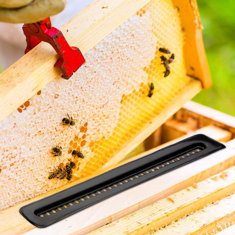 20 Black Small Bee Hive Beetle Blaster BeeHive Trap Beekeeping Equipment Tool