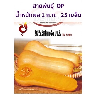 เมล็ด ฟักทองบัตเตอร์นัท สควอช 25 เมล็ด  Butternut Squash  สายพันธุ์ OP