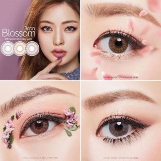 ✨Olens~รายเดือน Blossom3con