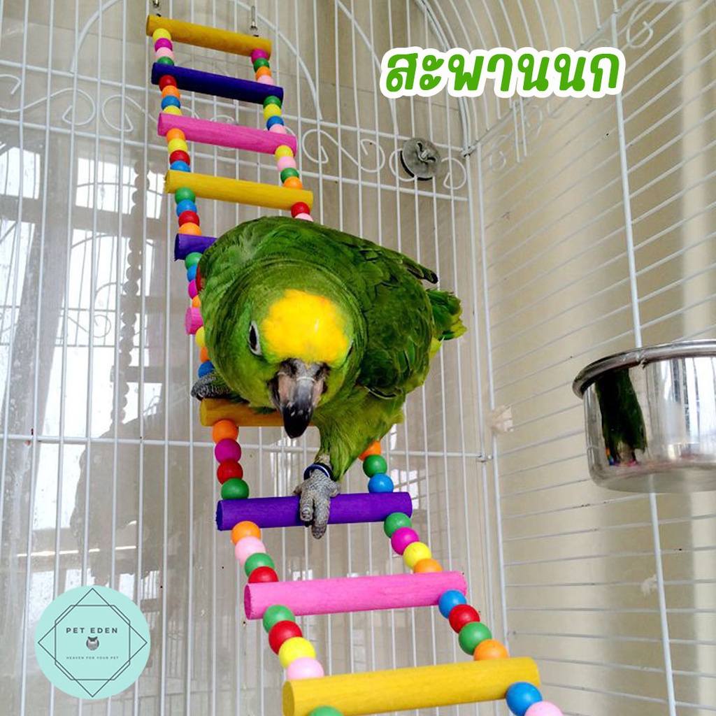 สะพานนก ของเล่นปีนป่าย ของเล่นนก สะพานแฮมเตอร์ สะพานกระรอก Bird นกแก้ว ฟอพัส หงส์หยก คอนัวร์ เลิฟเบิร์ด นกฟินซ์ Bird