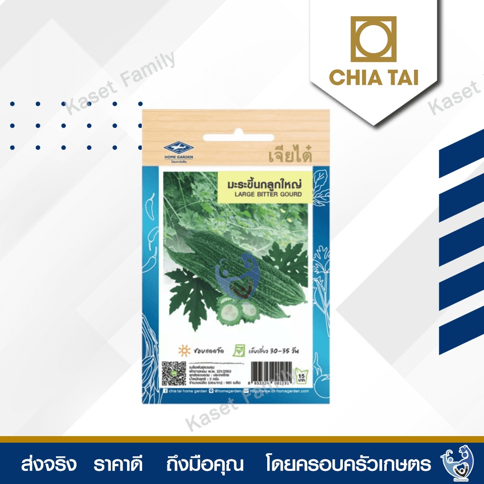 ผักซอง มะระขี้นกลูกใหญ่ 12 เมล็ด เมล็ดมะระขี้นก ตราเจียไต๋