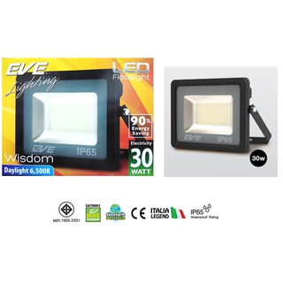 EVE สปอร์ตไลท์ LED SMD Wisdom 30w Daylight