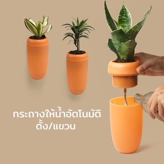 Qualy Care Pot - Self watering Plant pot กระถางต้นไม้ กระถางให้น้ำอัตโนมัติ ตั้ง/แขวน รุ่นแครอท QL10304