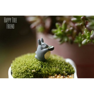 Totoro โตโตโร่ แต่งสวน