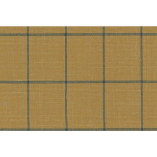 Lustrous Murano/25000 Cavani Brand Jacketing Fabrics Windowpane Pattern 25017