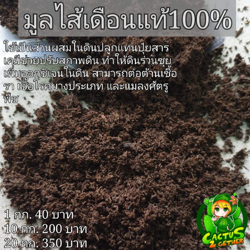 มูลไส้เดือนแท้100% ไม่ได้ผสมดิน บรรจุถุง500กรัม