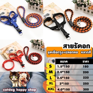 ชุดเชือกจูง+รัดอก+ปลอกคอ **สินค้าพร้อมส่ง**